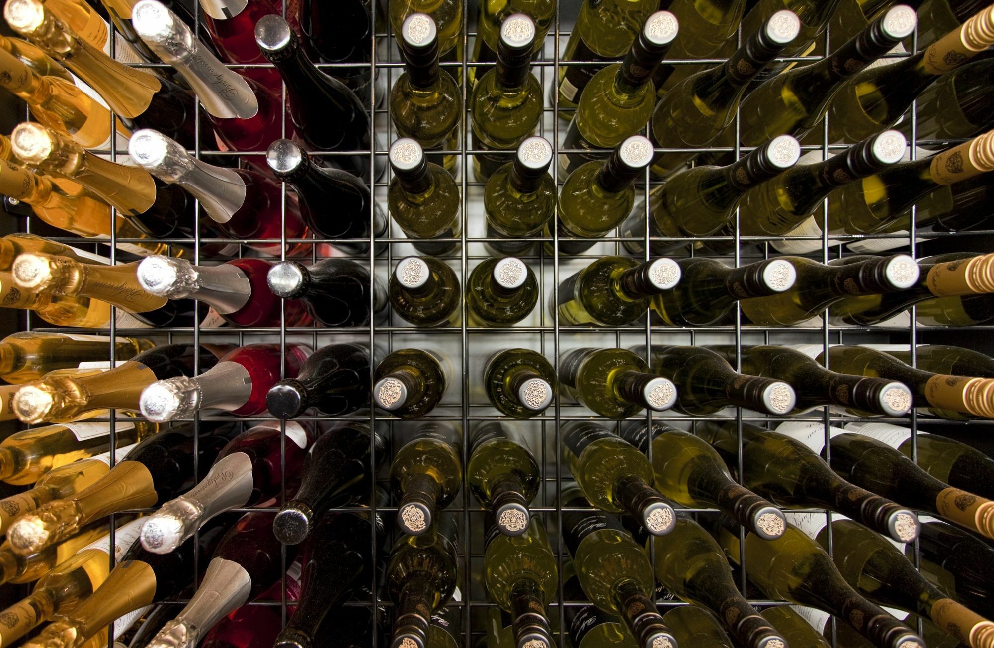 Balgownie Estate Yarra Valley Yarra Glen Eksteriør bilde Wine bottles in a wine rack